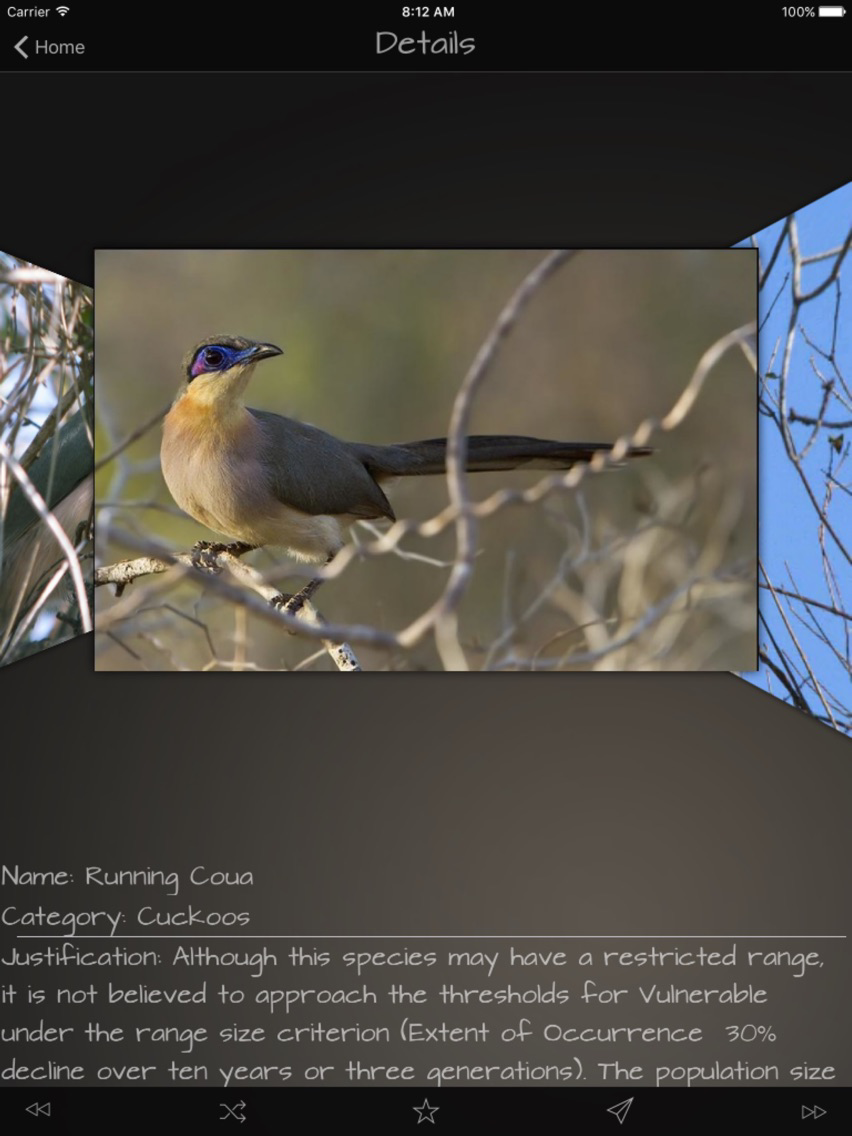 Cuckoos Database poster