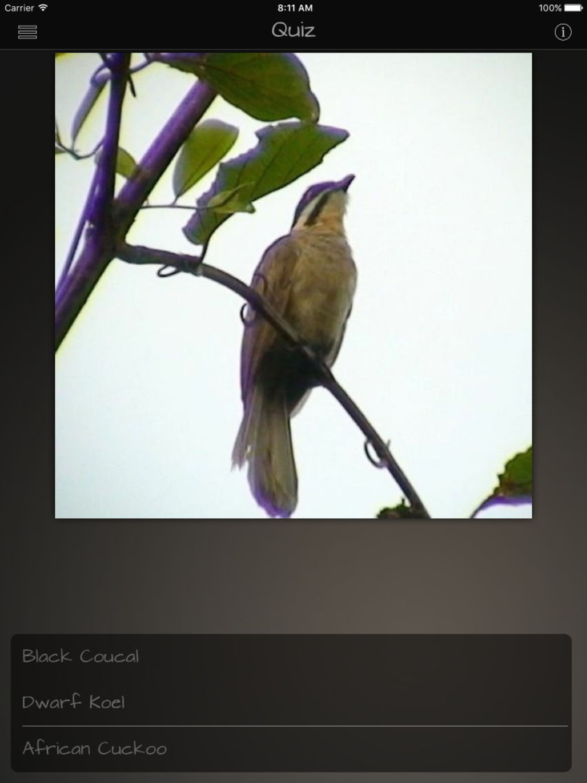 Cuckoos Database poster