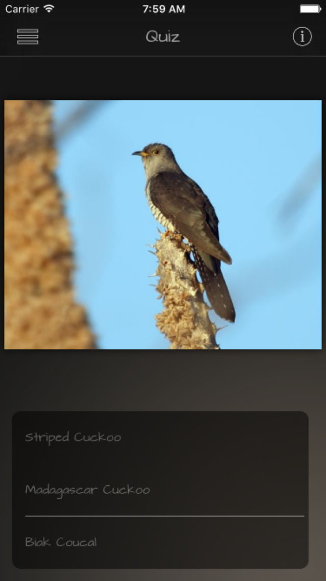 Cuckoos Database poster