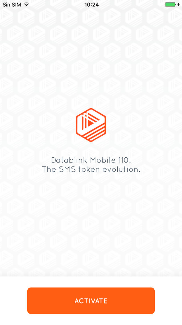 Datablink Mobile 110 poster