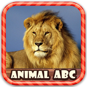 Children Know Animal Picture ABC