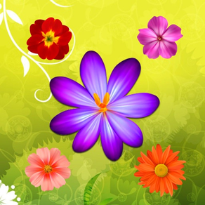 꽃 아름다운 퍼즐 시합 3 계략