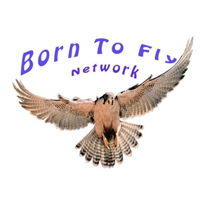 Born To Fly Network