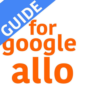 Guide for Google Allo