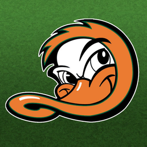 Long Island Ducks