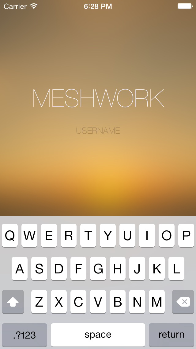 Meshwork poster