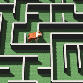 Maze Dog 3D