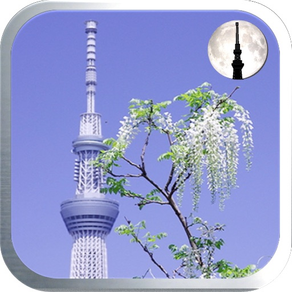 Tokyo Sky Tree Growth Timer