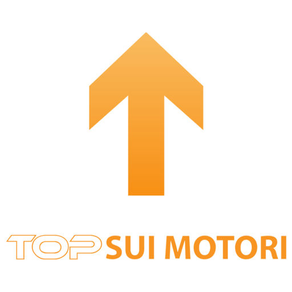 Strumenti Seo TopsuiMotori