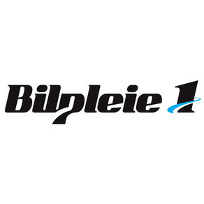 Bilpleie 1