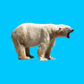 My Polar Bear Stickers