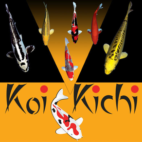 Koi Kichi