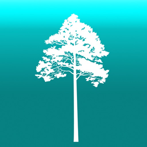 Arboreal - árvore