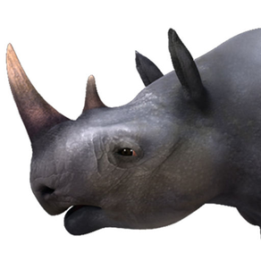 Virtual Reality(VR) Rhino