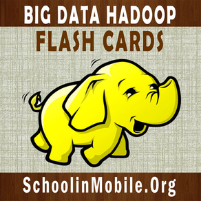 Big Data Hadoop Flashcards