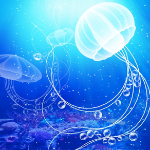 The Jellyfish Story