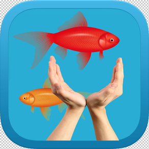 Tap Flap Fish - السمكة الطائرة