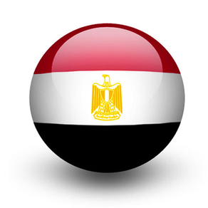 Egypt Buzz