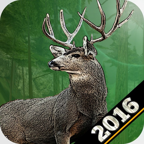 Big Game Wild Deer Hunting 3D Hunter 2016
