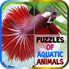 Puzzles of Aquatic Animals