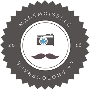 Mademoiselle La Photographe Wallpaper