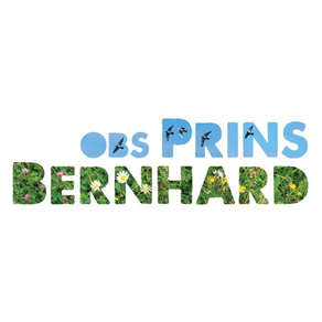 OBS Prins Bernhard