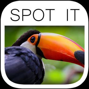 Spot the Difference Image Hunt Puzzle Game - Paradise Edition