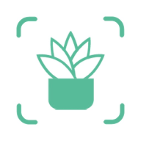 PlantID-AI Plant Identifier