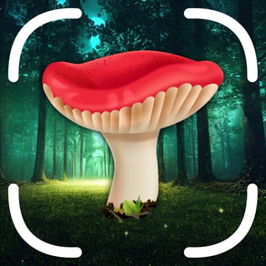 Identificar Cogumelos e Fungos