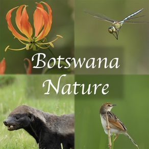 Botswana Wildlife Guide