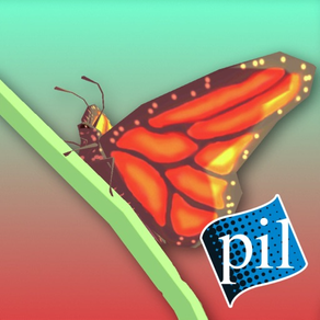 PI VR Insects