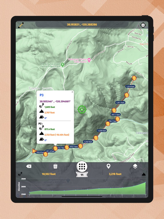 Elevation Profile poster