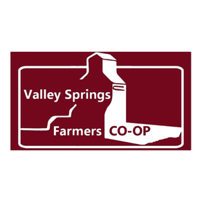 Valley Springs FC