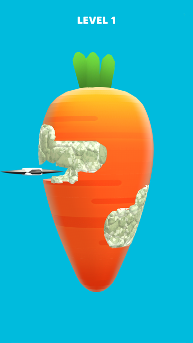 Precision Cut Affiche