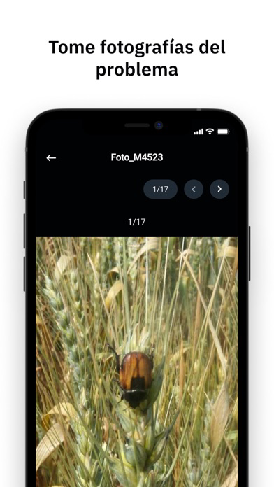 Field Observer الملصق