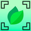 Plant by Leaf Identifier