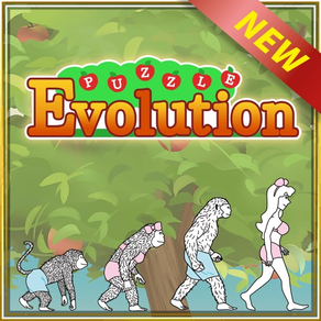 Puzzle Evolution