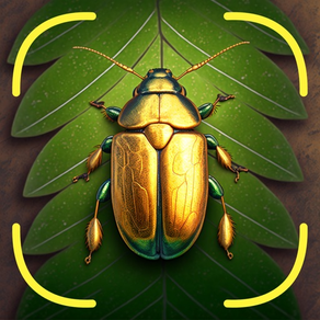Identificador de Insectos App