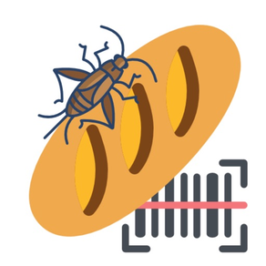 Insekten in Lebensmitteln