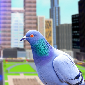 Pigeon Flight Simulator