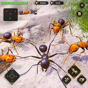 Simulador de Ant: juegos lucha