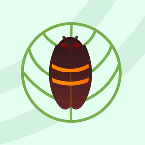 Twolined Spittlebug Tool