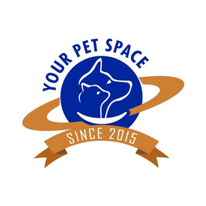 Your Pet Space NM
