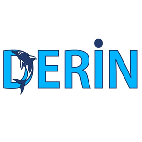 Derin Inside