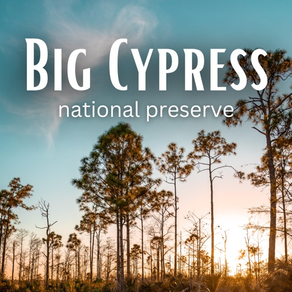 Big Cypress National GPS Guide