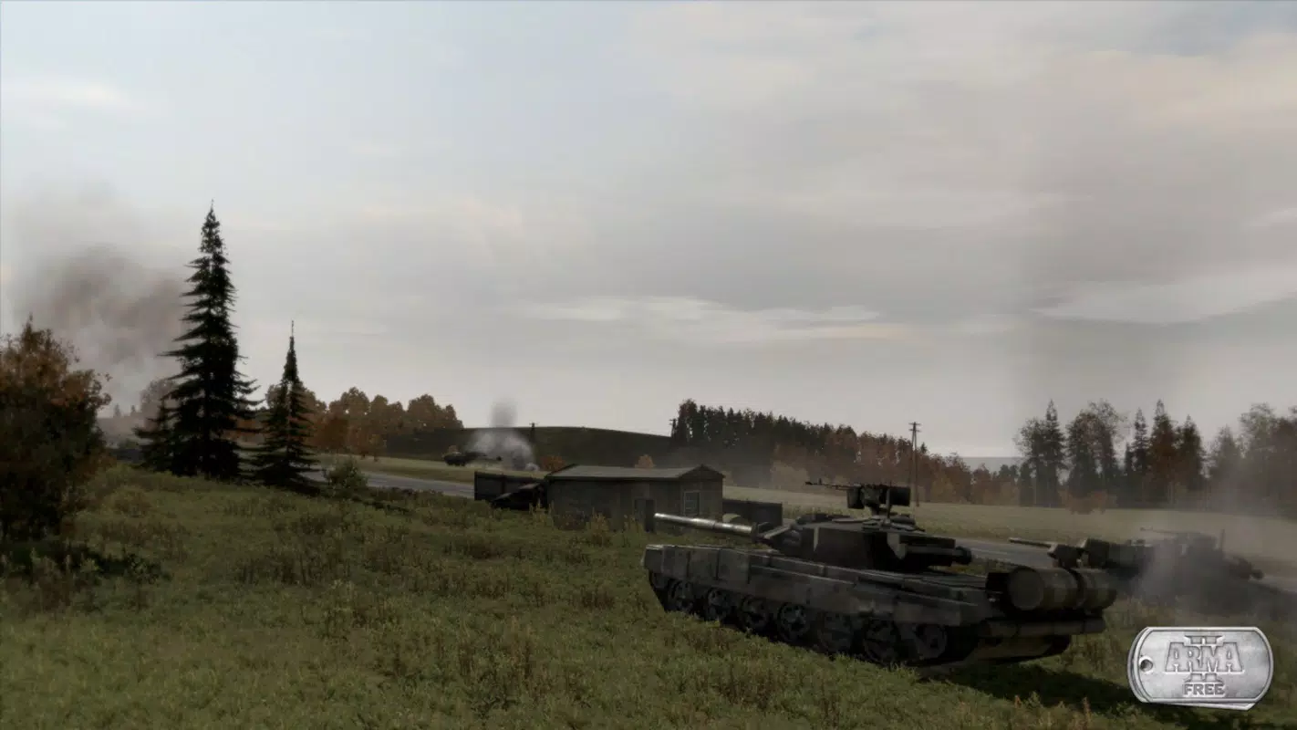 ArmA 2 Free