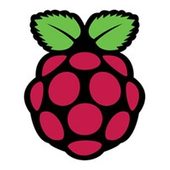 Raspberry Pi Imager Logo