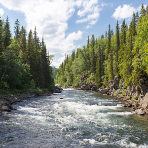 River Sounds for Sleeping