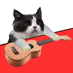 Cat Instruments