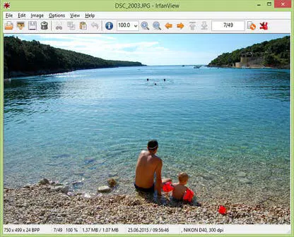 IrfanView (32-bit)